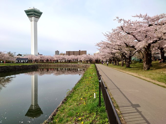 五稜郭のtwitterイラスト検索結果