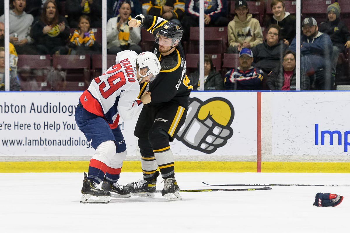 Metcalfe Photography tweet media