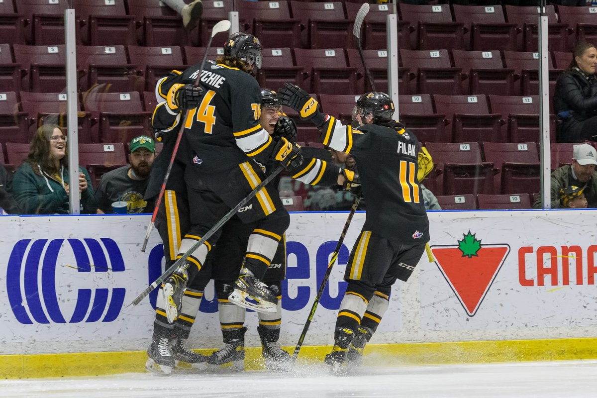 Metcalfe Photography tweet media