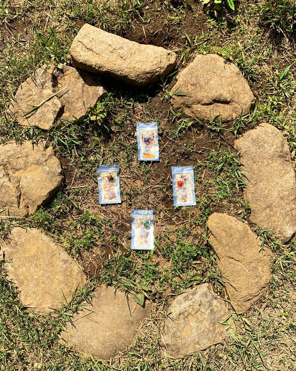 RADD LOUNGE tweet media