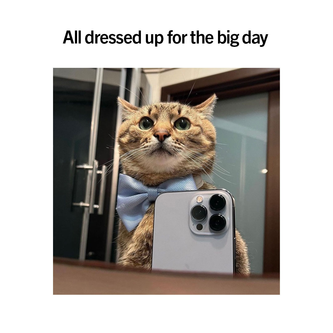 Panthers's tweet photo. Had to suit up 😼 https://t.co/zTFrE6IozY