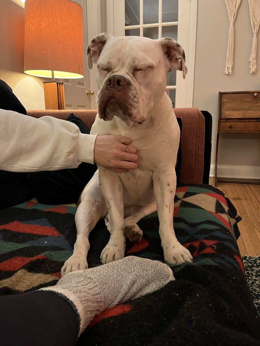 kaydubbya's tweet photo. she’s feeling that game six stress https://t.co/yD854yioiE