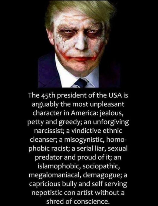 Danielle Candela tweet media