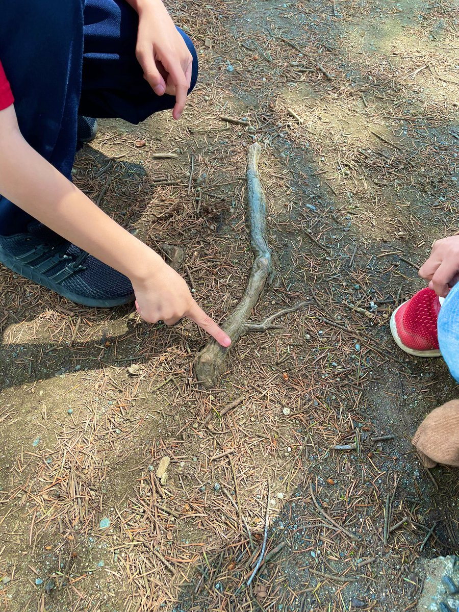 MsAlbertisClass's tweet image. Day 3 #walkingcurriculum challenge: Line Walk - can you find the widest line? Thinnest line? A natural line? An artificial line? Where do these lines take you if you follow them?