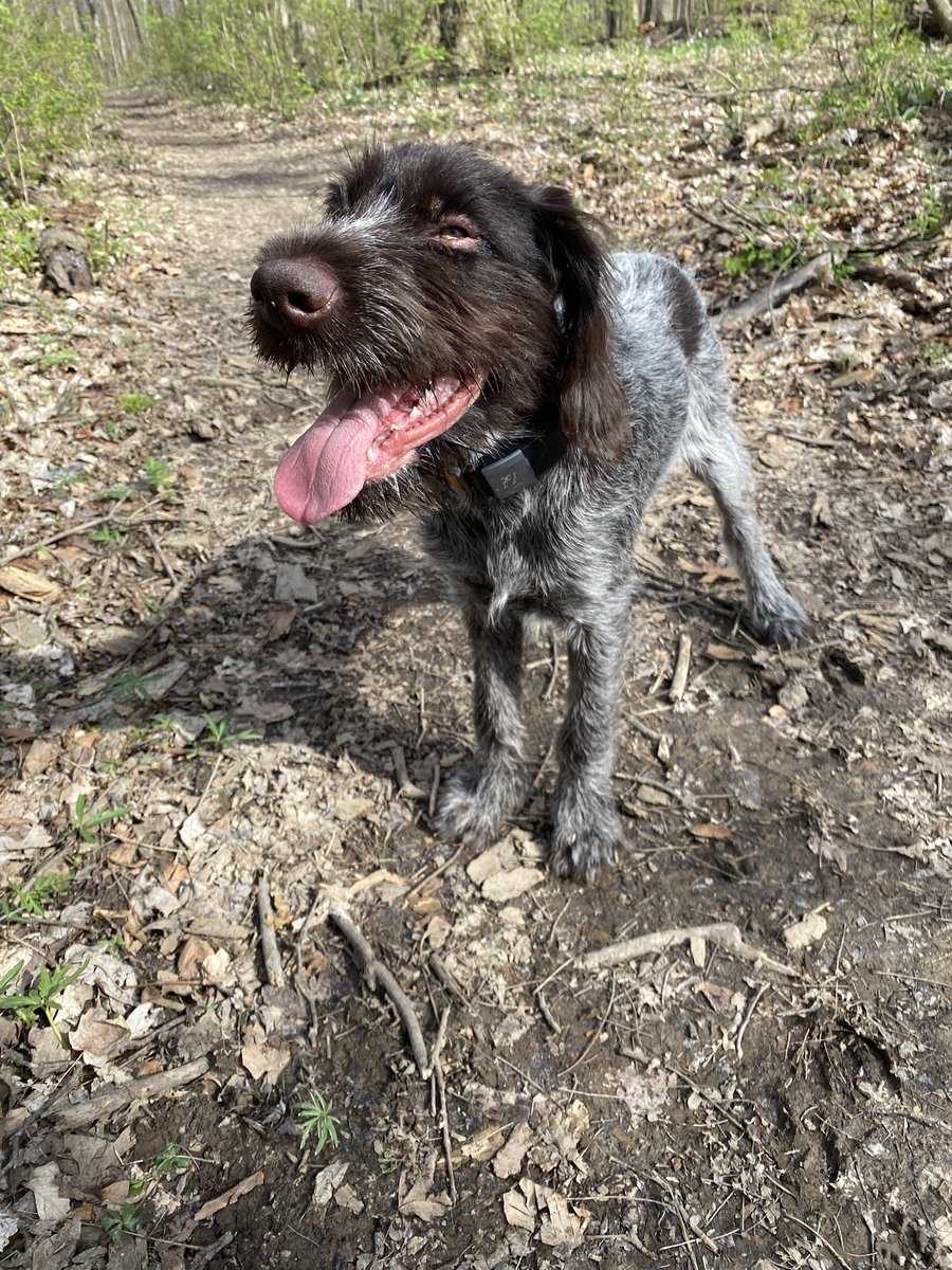 Val Geisler tweet media