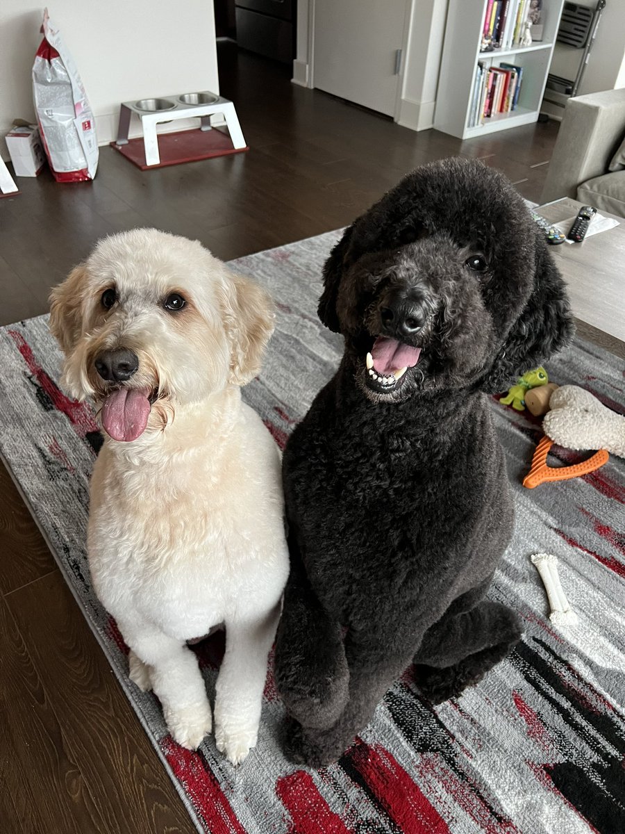 Jordin ☕️ westloopsoul.eth (she/her) tweet media