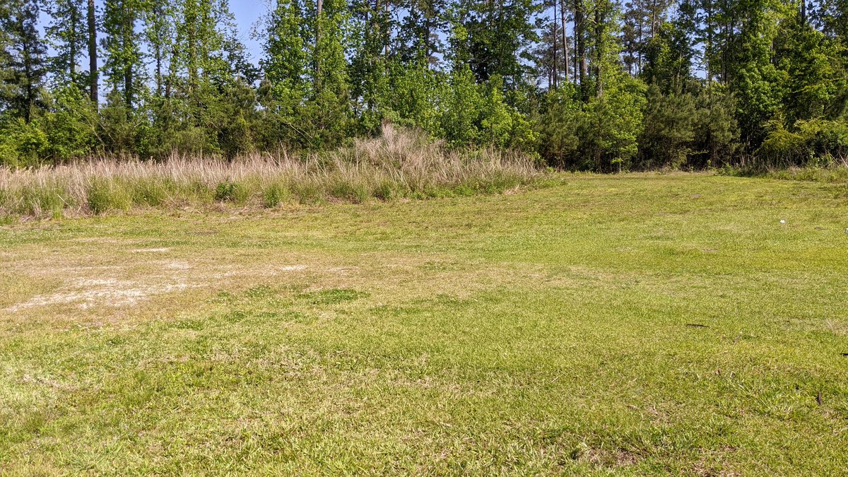 allicrandell's tweet photo. A landing where enslaved Africans landed in Horry County, the site of a one-room Black school (and grocery), an office in the town of Atlantic Beach. All within two hours of meetings this afternoon. Spaces to make stories happen with community. https://t.co/pQWkH9BJSm