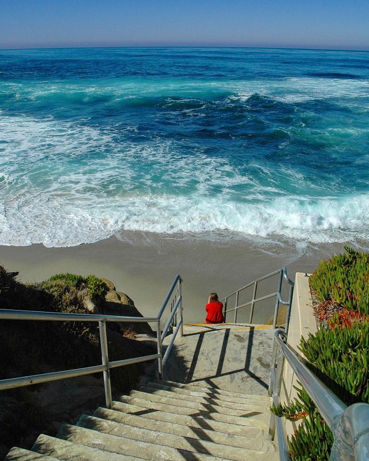 the DNGR collective tweet media