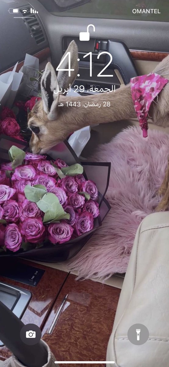 azyna98's tweet photo. @_f6wl https://t.co/nYQ3UBbGZL