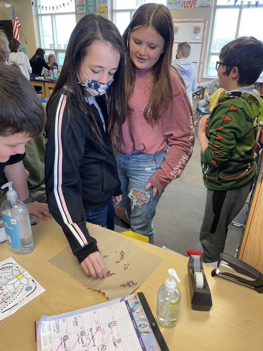 ScottSTEM5's tweet photo. Some students decided to be brave and try something new… crickets!! https://t.co/IOP5D3Uuf9