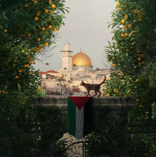 khalafmourtada's tweet photo. السلام على من اتبع الهدى وعلى من اهتدى بنبينا المصطفى...
#القدس
#فرجت  
#القدس_اقرب
#يوم_القدس_العالمي https://t.co/7QRzd2fVNf