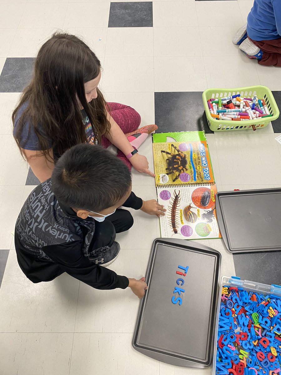 AkaiOCSB's tweet photo. This week’s centres - making words, planting, measuring and more! 👏 @OLVictoryOCSB https://t.co/rGc6liiZ5W