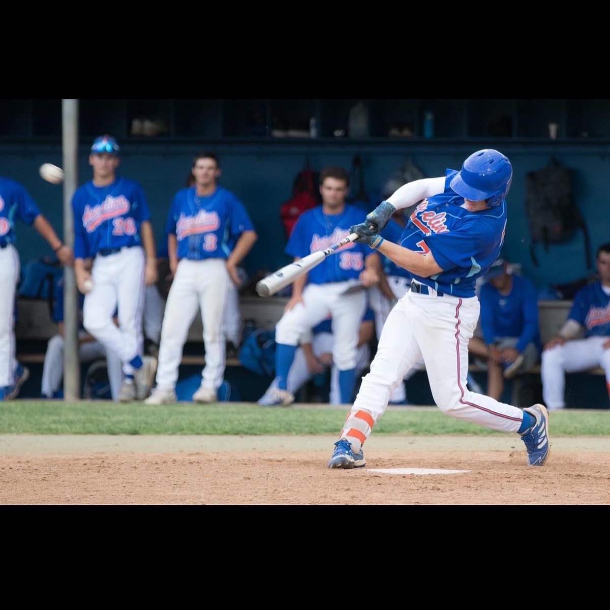 crae 🦁 tweet media