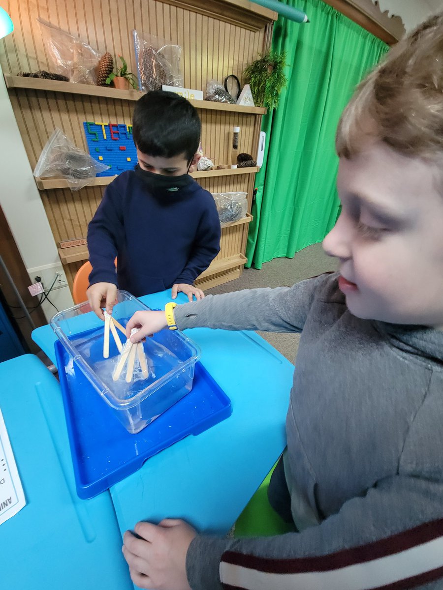 AndreaMango1's tweet photo. I love some messy learning!❤️ 1st graders dug in the dirt w/claws, pulled (gummy)worms out w/beaks, swam w/webbed feet, & more to explore animal features.🦔🦘🦎🐅🦍#STEAM #STEM #sciencerocks #animalfeatures @Dodge_WCSD https://t.co/rGqnxdqIVl