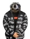 RealDavidKoenig's tweet photo. @dathron_ I CANT FUCKING WAITTT https://t.co/F8mMhATOI6