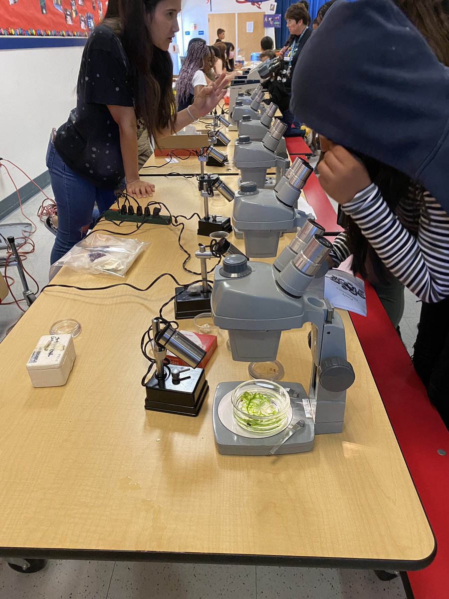 Microscopes are a hit for all ages!! At Pauly elementary family science night with <a href="/BcsdFace/">BCSD FACE</a> and #team_BCSD