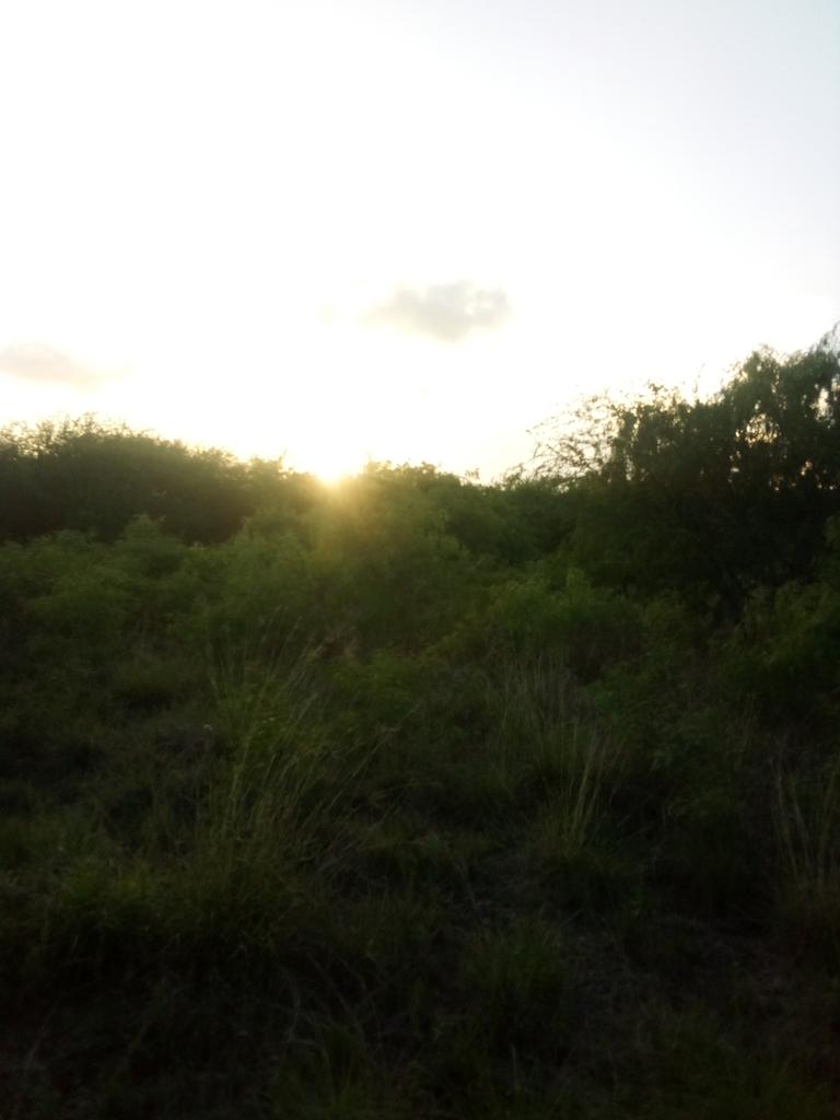 JixRowe's tweet photo. @RadioHaurakiNZ #RadioHaurakiIsEverywhere
Texas! https://t.co/bIg1b6GMsn