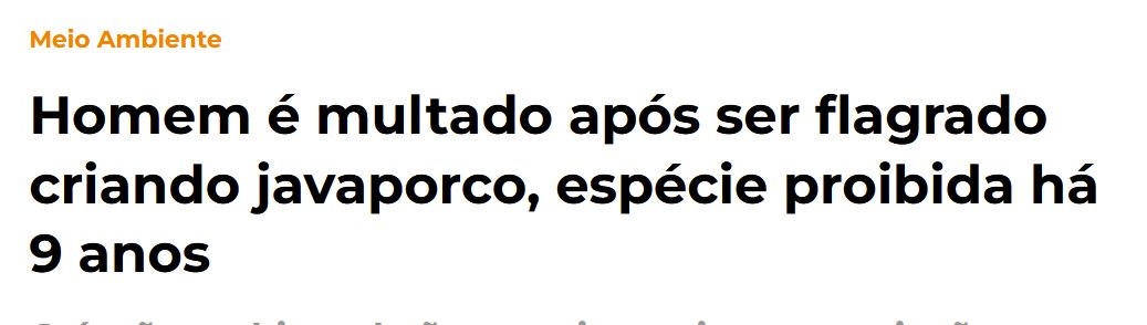 begnini's tweet photo. Se me vissem programando em Java, tava condenado a prisão perpétua. https://t.co/nNz1qyPvnz