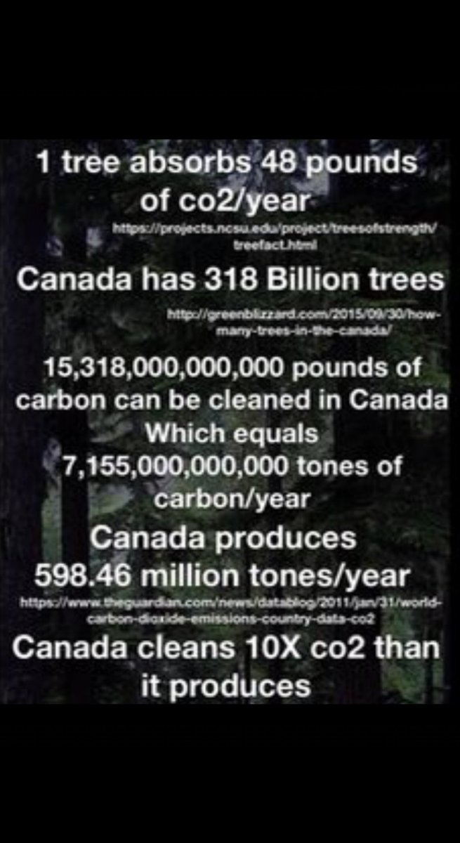 Harmony47383691's tweet photo. @ryck_nancy I Agree .. #ClimateChangeTaxGrab #TrudeauHasGotToGo #GuilbeaultHasGotToGo https://t.co/rcP1lGav4F