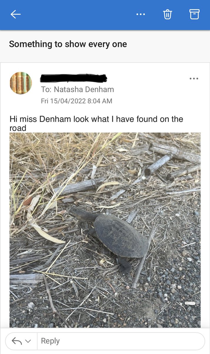 My favourite kind of email (from a student investigating how to solve the problem of turtles crossing roads to lay eggs) #PurposefulPedagogies #empathyquotient #solutionaries #SDG15 #curiosity
