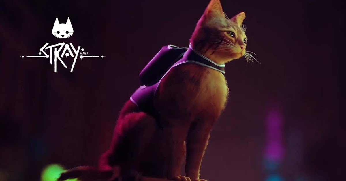 Stray is coming to PS5 this summer 👀🔥