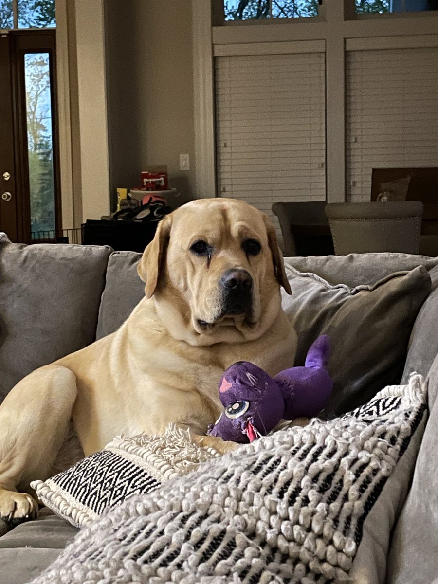 Hey guys!  I’m just chillin💙