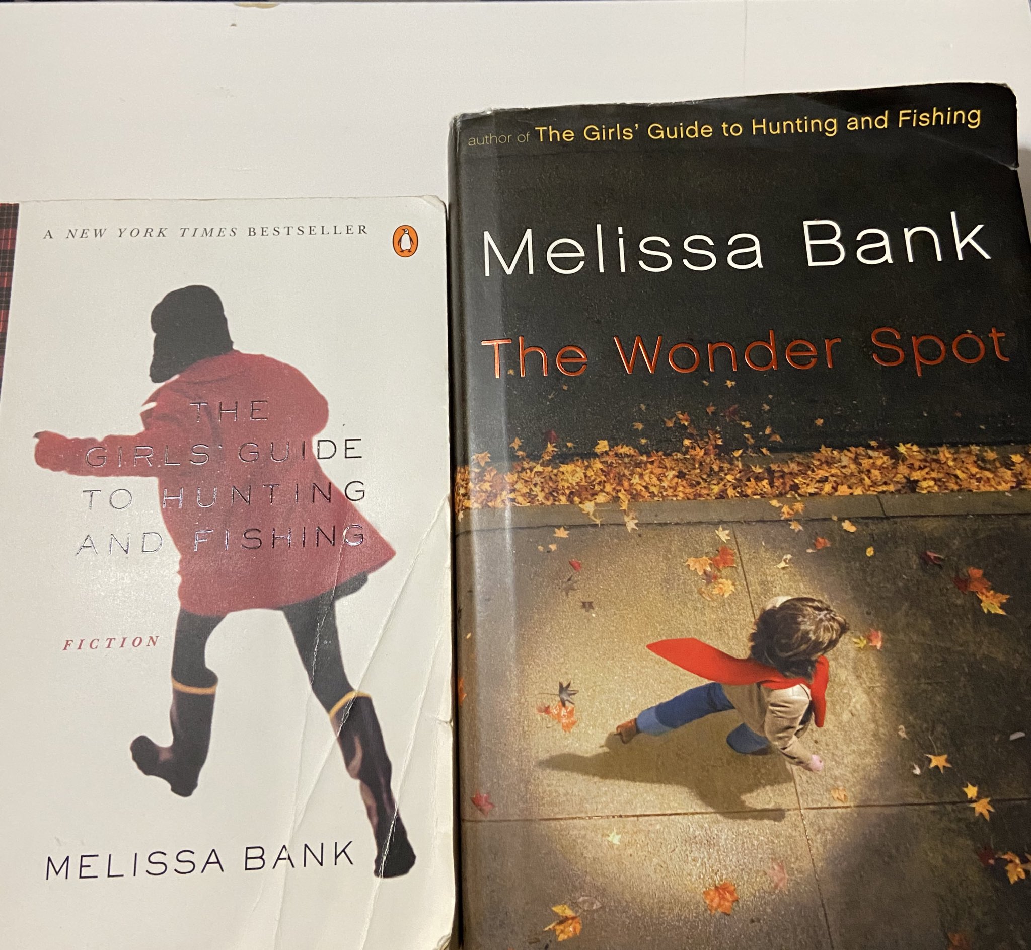 Misa Mendes-Kobayashi on X: Today I randomly googled Melissa Bank to see  if she has written any more books since Girls' Guide to Hunting and Fishing  and The Wonder Spot and came