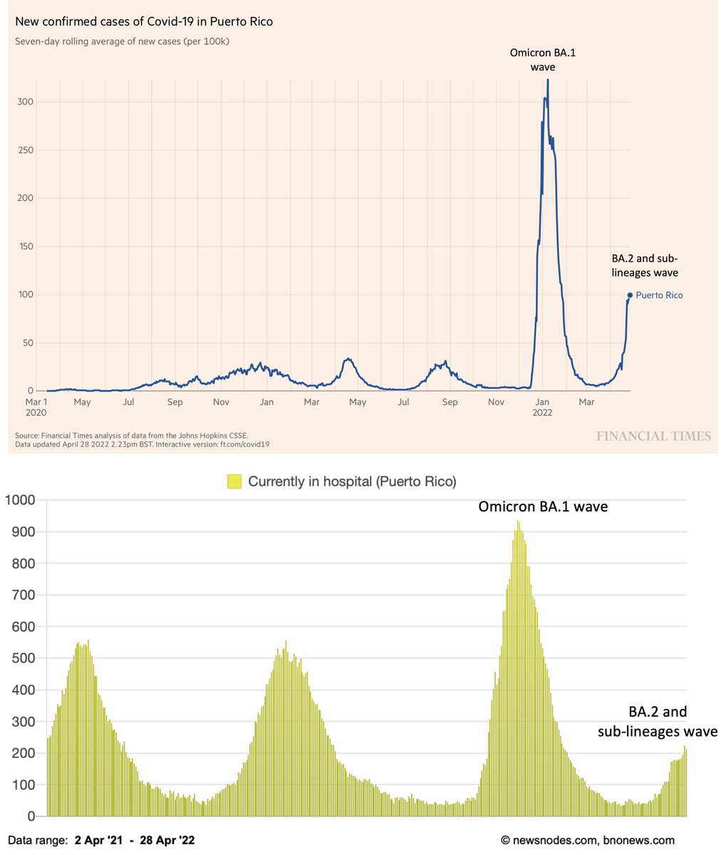 EricTopol's tweet photo. The BA.2 wave in Puerto Rico is substantial, may be starting to plateau, with hospitalizations approaching half of its Alpha and Delta wave peaks. It may prove to be a bellwether for other US regions in the weeks ahead. https://t.co/M6IoU3gcwH