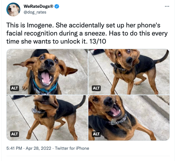 DaveLeeBBG's tweet photo. I love how @dog_rates has taken to using Twitter's alt tags as joyful little Easter Eggs (while still being good functional alt tags that do their job for accessibility). https://t.co/9IRwqHBVqG