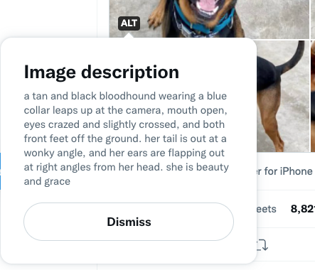DaveLeeBBG's tweet photo. I love how @dog_rates has taken to using Twitter's alt tags as joyful little Easter Eggs (while still being good functional alt tags that do their job for accessibility). https://t.co/9IRwqHBVqG