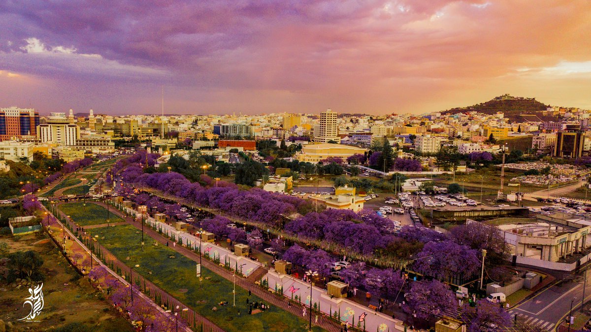عبدالمجيد عسيري tweet media