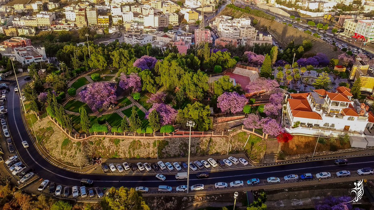 عبدالمجيد عسيري tweet media