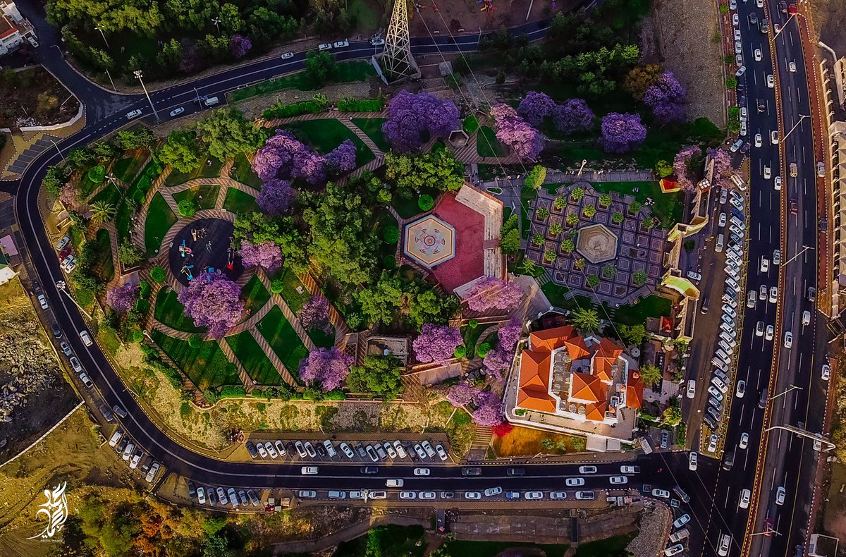 #أبها #شارع_الفن #ابوخيال   
يعود للحياة من جديد وأشجار الجاكرندا المزهرة تحتضن  هذه الأجواء الرمضانية الأسرية الآسرة #الجاكرندا #اشجار_الجاكرندا #عسير <a href="/VisitSaudiAR/">روح السعودية</a> <a href="/GEA_SA/">الهيئة العامة للترفيه</a> <a href="/Turki_alalshikh/">TURKI ALALSHIKH</a> @inma_ksa <a href="/SaudiMagazine/">Saudi Magazine</a>