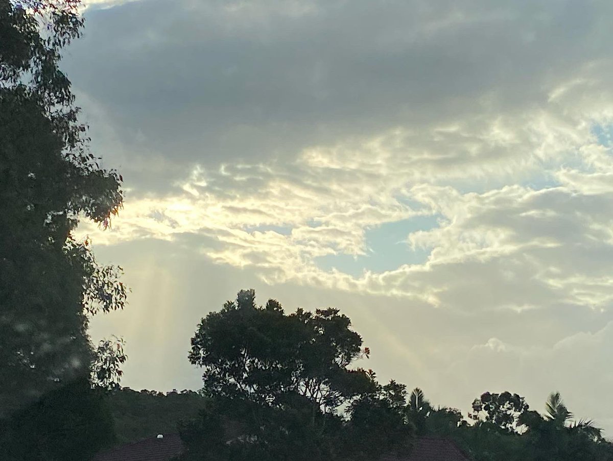 artwork_sue's tweet photo. Sharing the #glorious #raysofsun as the afternoon deepens

#sunlight #nature #naturalbeauty https://t.co/mjGVnbtp5g