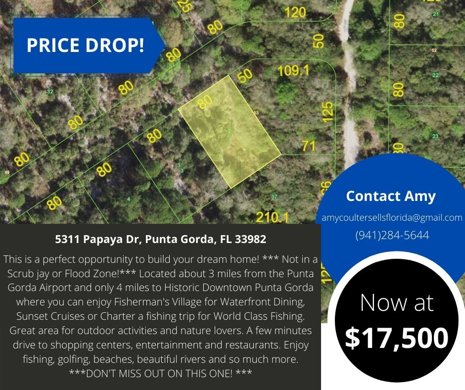 PRICE REDUCED!
This is a perfect opportunity to build your dream home! *** Not in a  Scrub jay or Flood Zone!***

#lotforsale #landforsale #vacantland #puntagorda #portcharlotte #floridarealestate #puntagordarealestate #puntagordarealtor