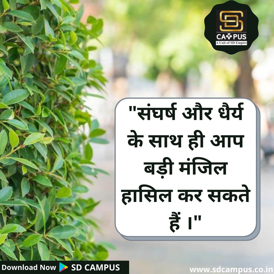 SdCampus's tweet photo. "संघर्ष और धैर्य के साथ ही आप बड़ी मंजिल हासिल कर सकते हैं ।"
#motivationalquotes
#motivation
#motivacion
#motivational
#motivated
#motivationquote
#thoughtoftheday
#thoughts
#inspirationalthoughts https://t.co/IjshVMrbJ1
