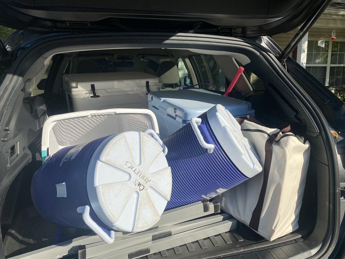 Michelle Fournier tweet media