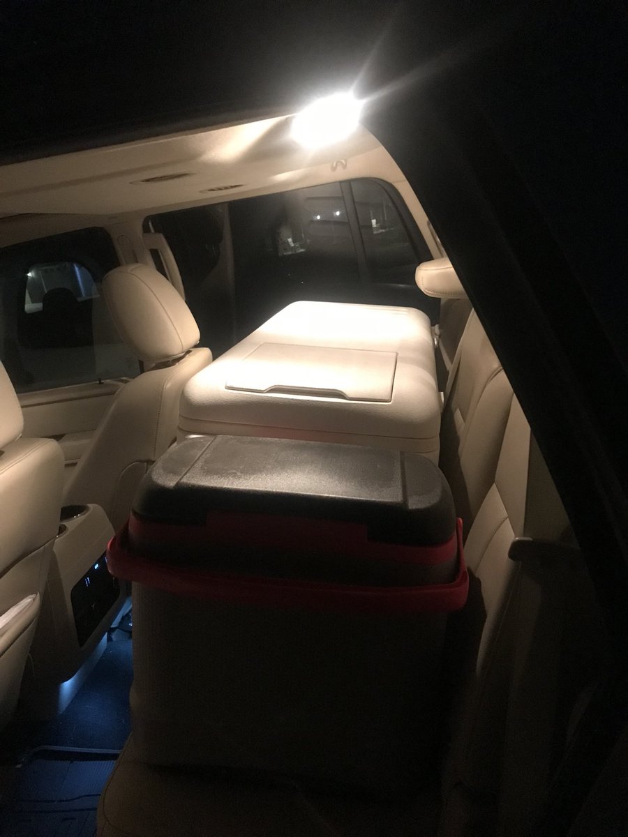 Michelle Fournier tweet media