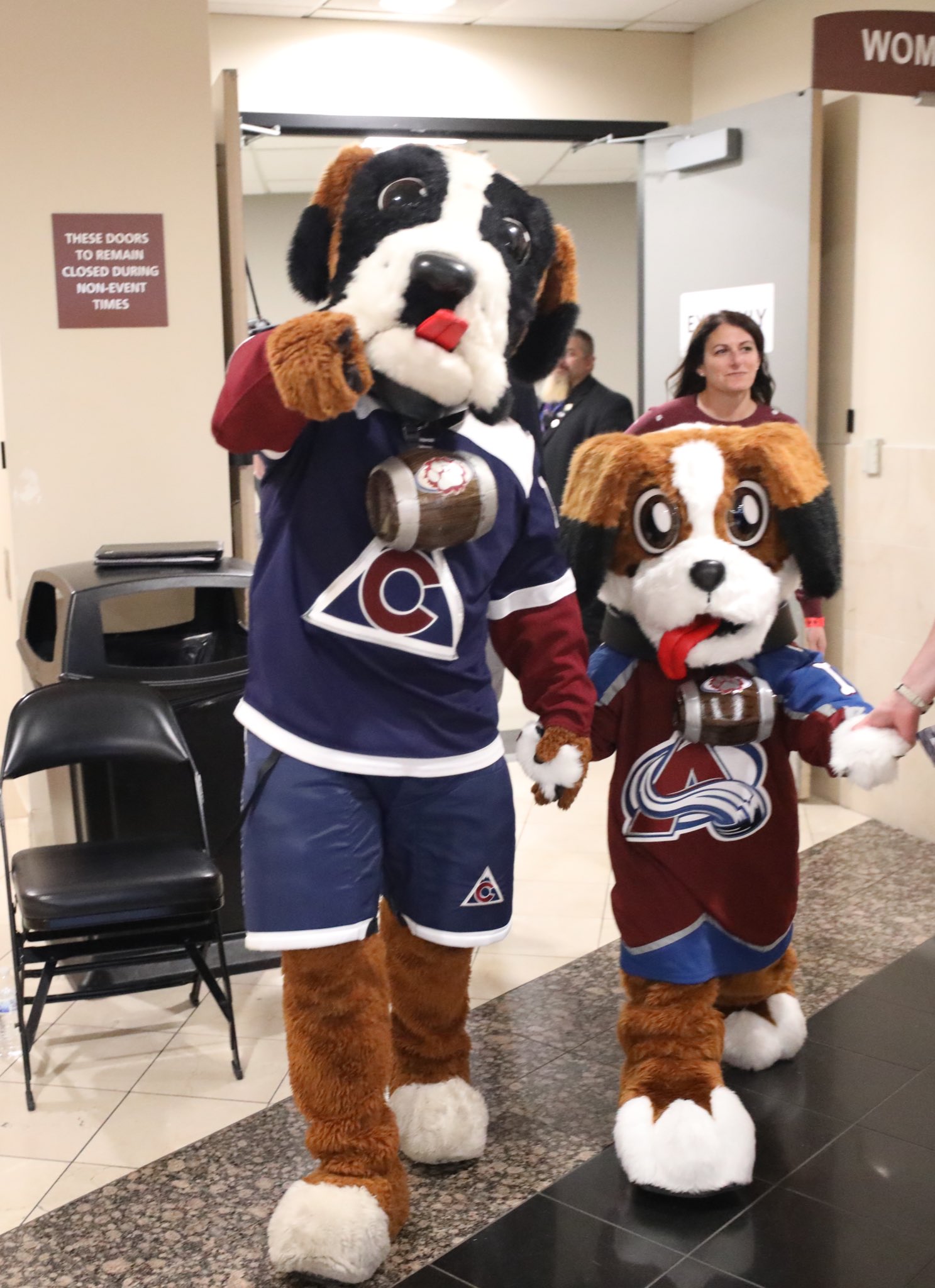 Colorado Avalanche Bernie Mascot Costume