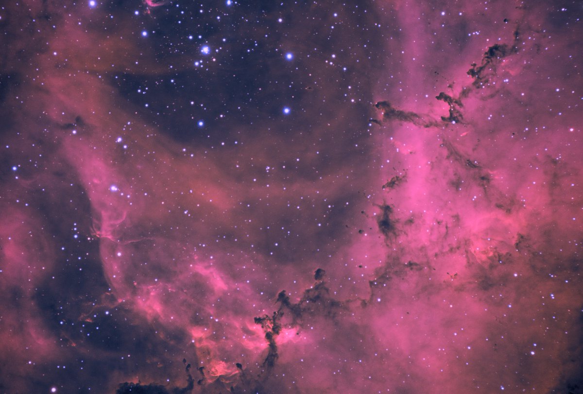 I'm still alive! This is a very magnified capture of the Rosette nebula. So small, if you click to zoom in (fullscreen) and look for the tiny dark blobs - they have little tails! Cometry Globules! Ooo, exotic. C11 EHD @ F7, EQ8rhPro, QHY268m : 5.45hrs (HaHaGO) #astrophotography