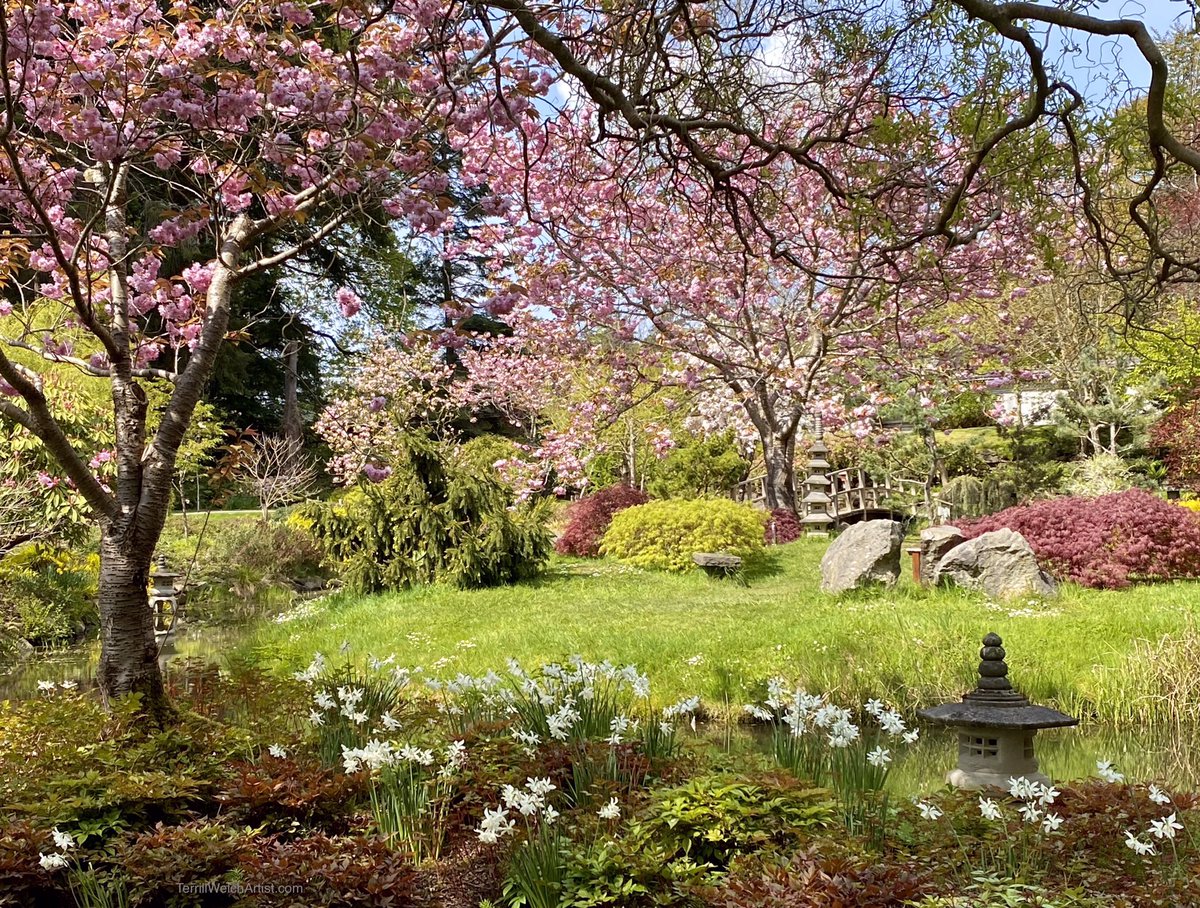 Terrill Welch tweet media