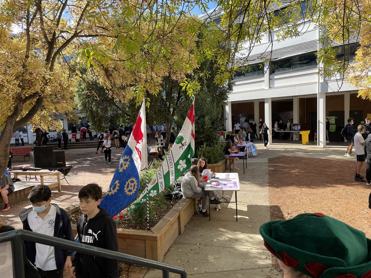 Melrose High School tweet media