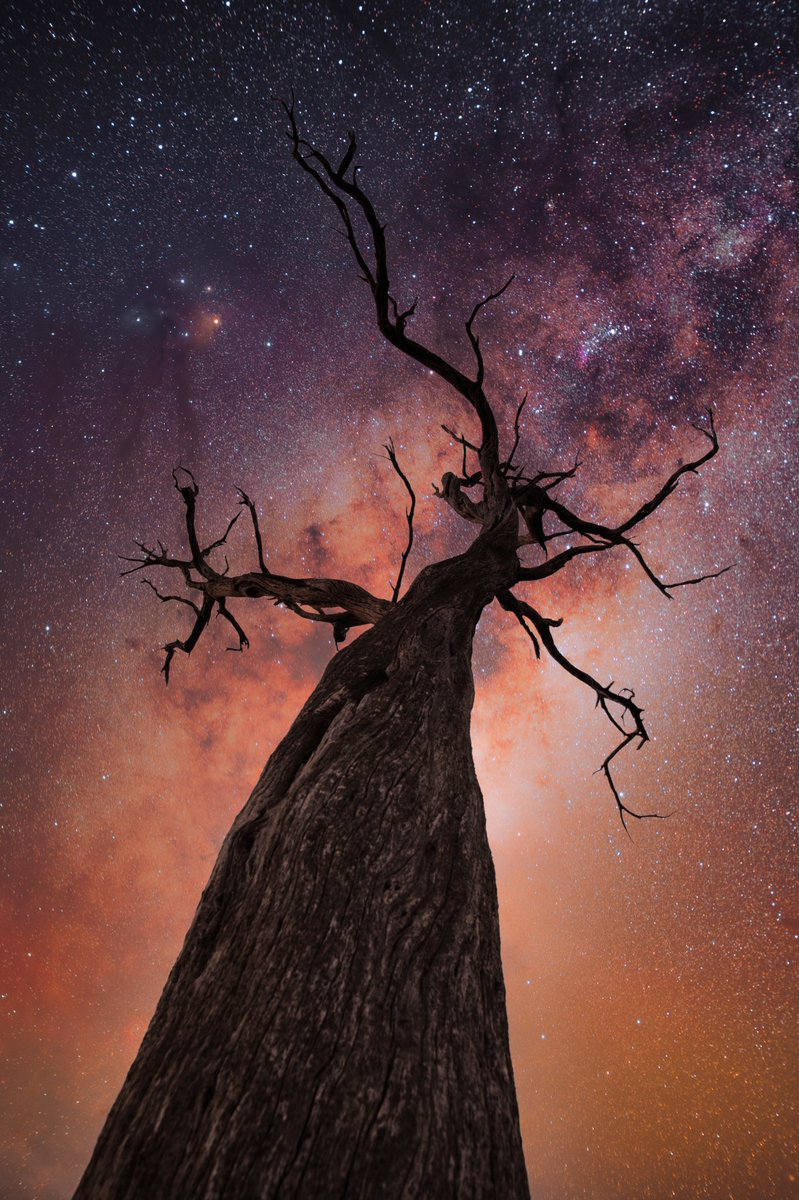 Reach for the stars ✨
