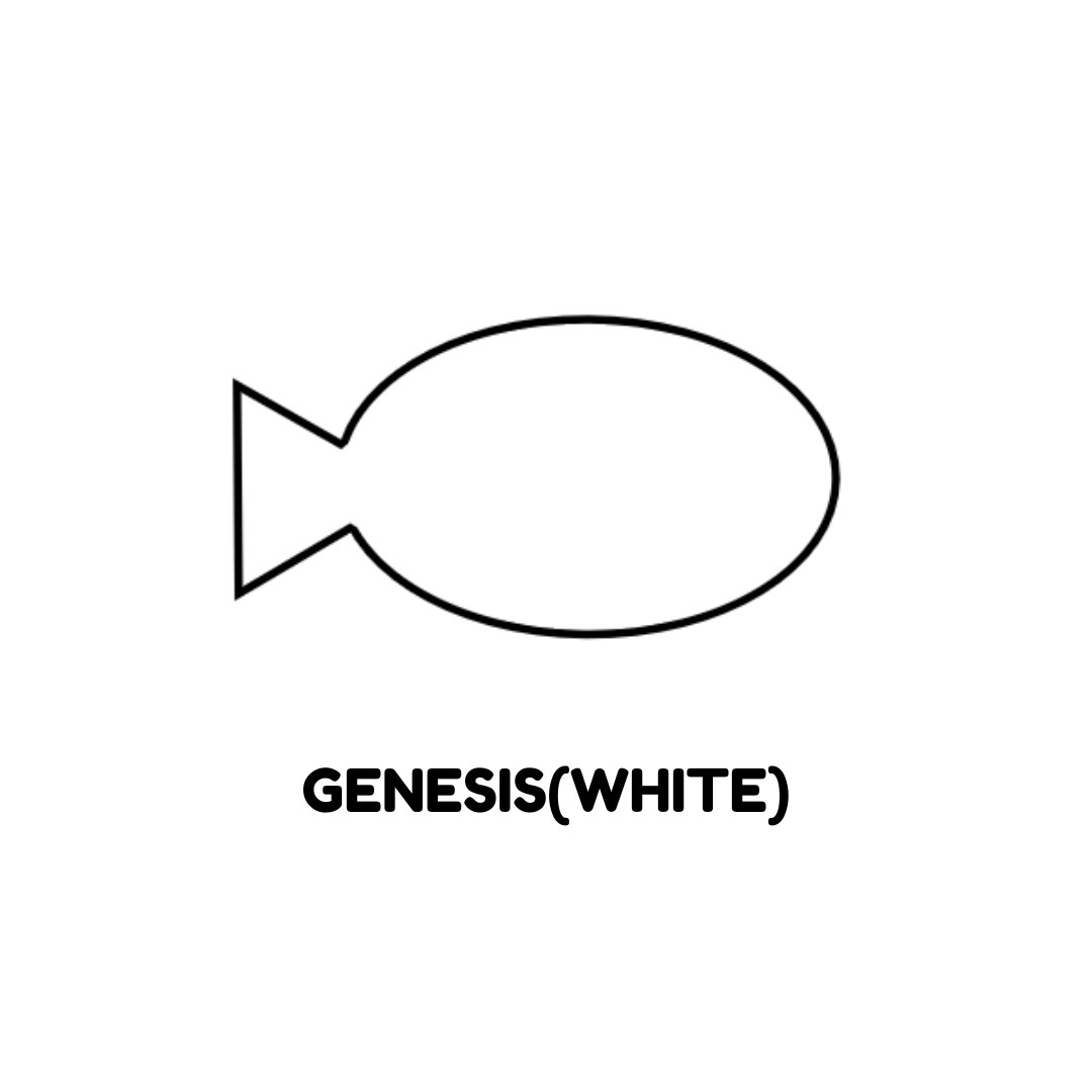 Rare Fish NFT Club tweet media