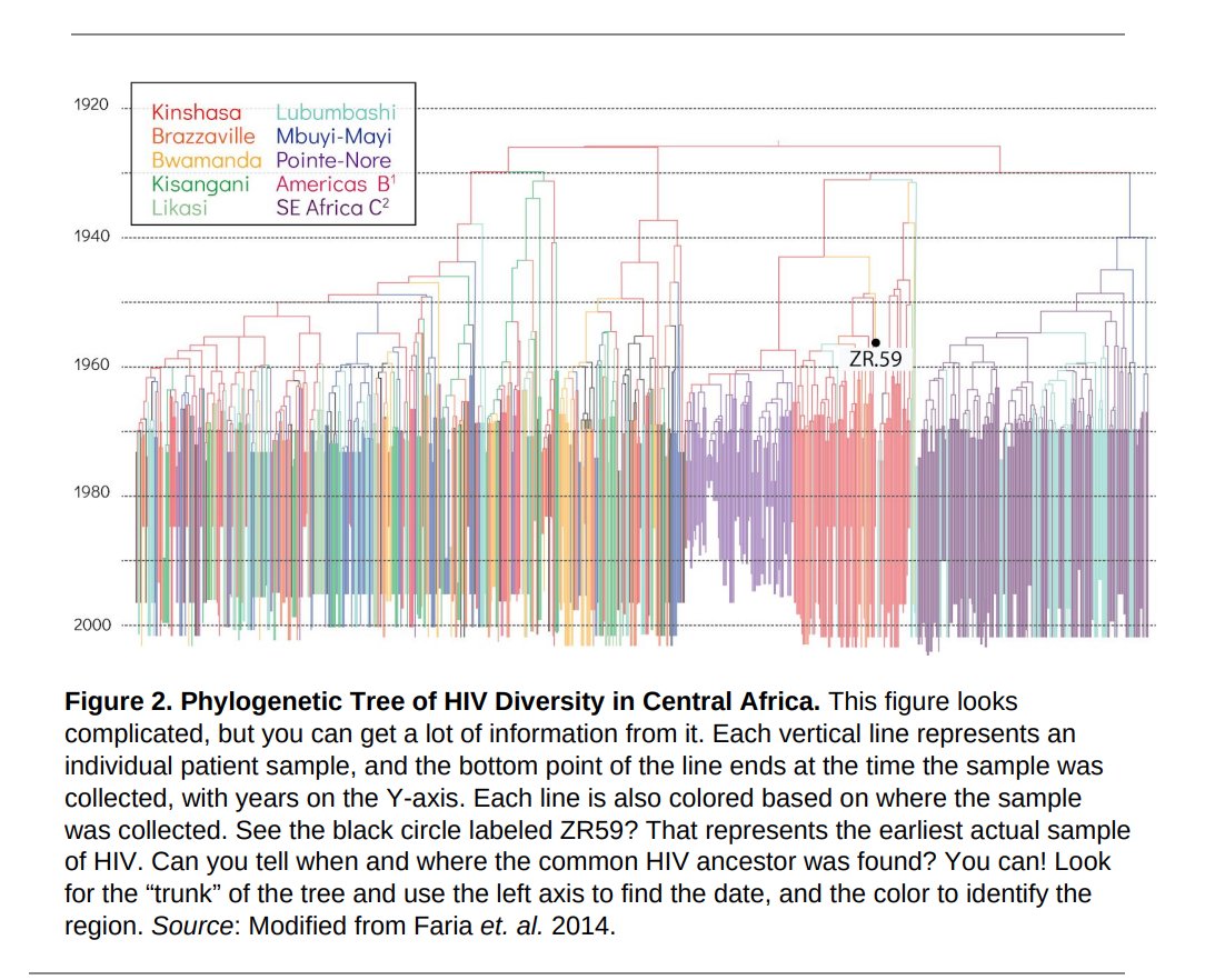 I ❤️ Term 4! We have built a culture where we can have  conversations that lead to great insights. Today, we had a fishbowl discussion about <a href="/BiteScis/">BiteScis</a> Evolution of HIV research. These Qs led to some amazing takeaways from my amazing class of Global Citizens! 1/3