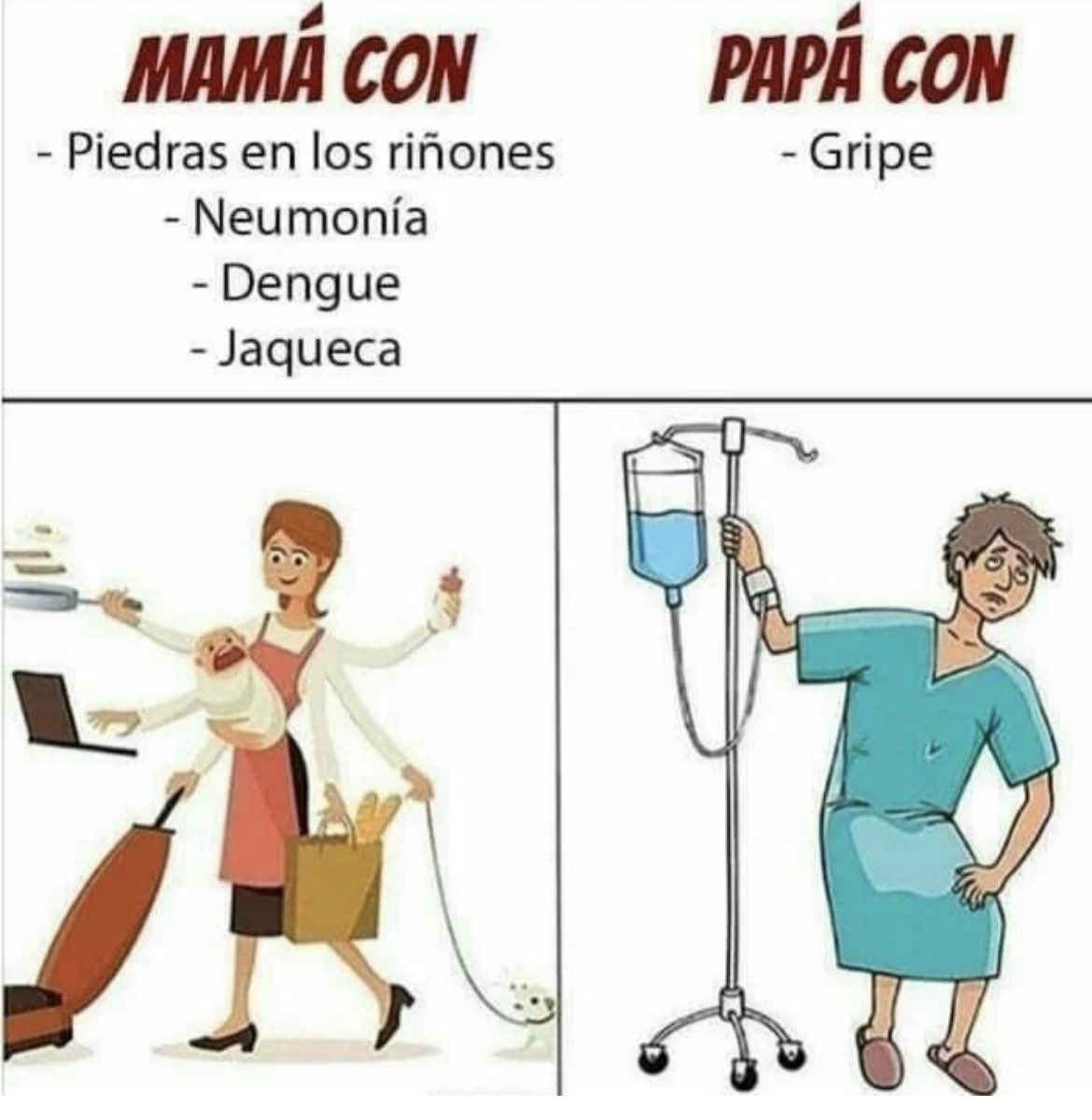 ELVIRA PALACIOS tweet media