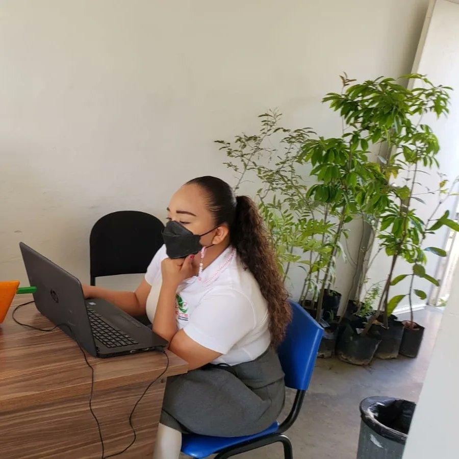 CecytesMazatlan's tweet photo. #SomosCECyTE 💞 
Alumnos presentando examen de concurso académico estatal, en la que serán seleccionados los ganadores para participar en el nacional. 
#OrgulloCECyTE 💕 
Éxito para todos en esta etapa. 👏 https://t.co/i9YHPVk7oz