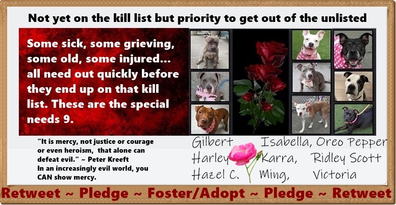 4/28NYCACC 10:15pmEST FOSTERS NEED TO STEP UP STAT cause they are certainly speeding up the rush to death. Plge &amp; info <a href="/TomJumboGrumbo/">Keith Olbermann's Dogs</a> foster <a href="/PamBabcockTruth/">pam babcock</a>  Prove humanity can care &amp; act. The cost of a latte can save these not yet on TBK (Gilbert now reserved so it's 8 now)