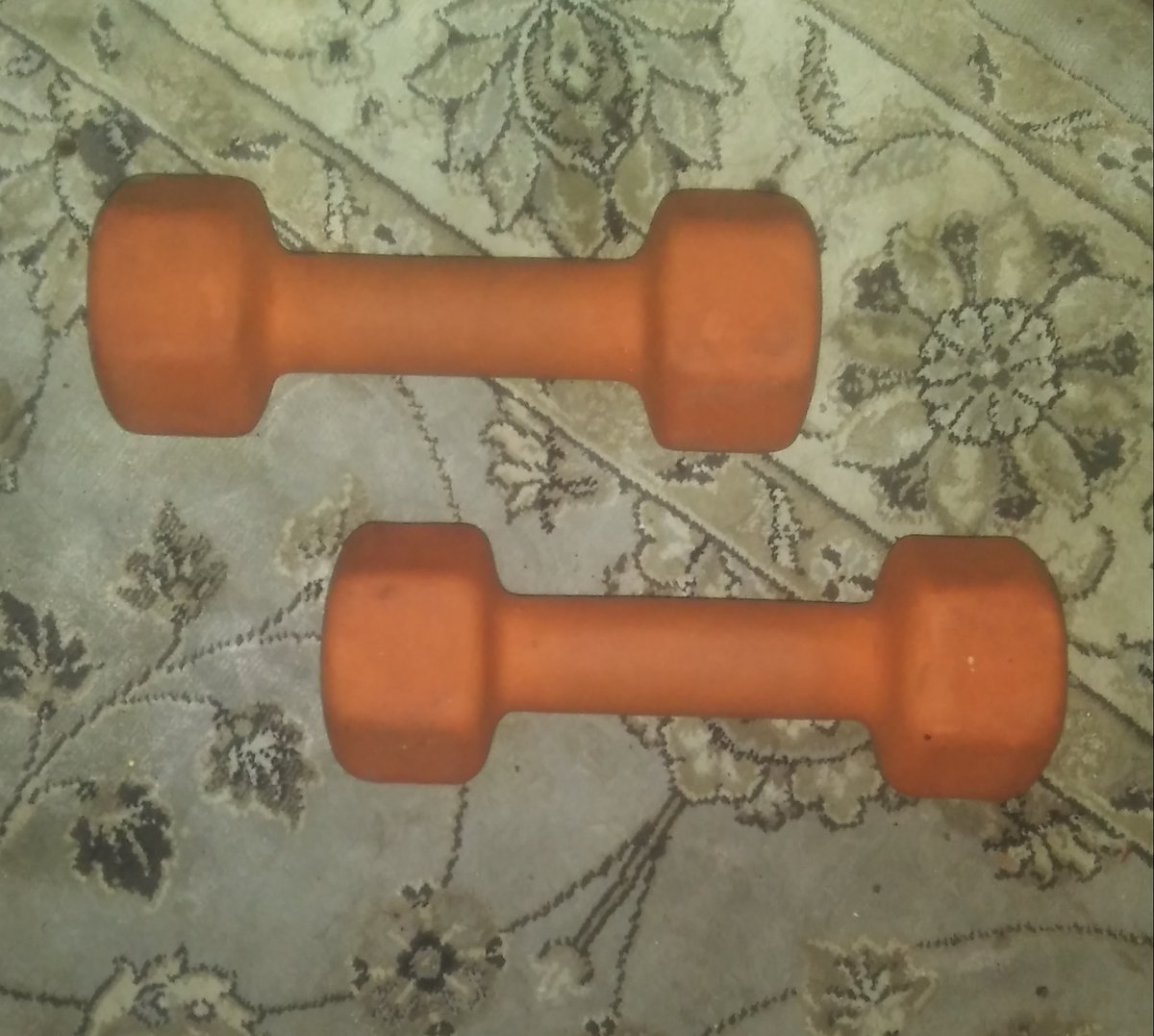 SadieTheKnight's tweet photo. What are these?

Me: dumb bells
My 4-year old niece: exercise bones

Lmao awww 😂😍💖 https://t.co/8pVofeXZOU