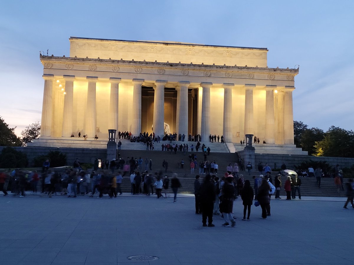 Michelle Madden tweet media